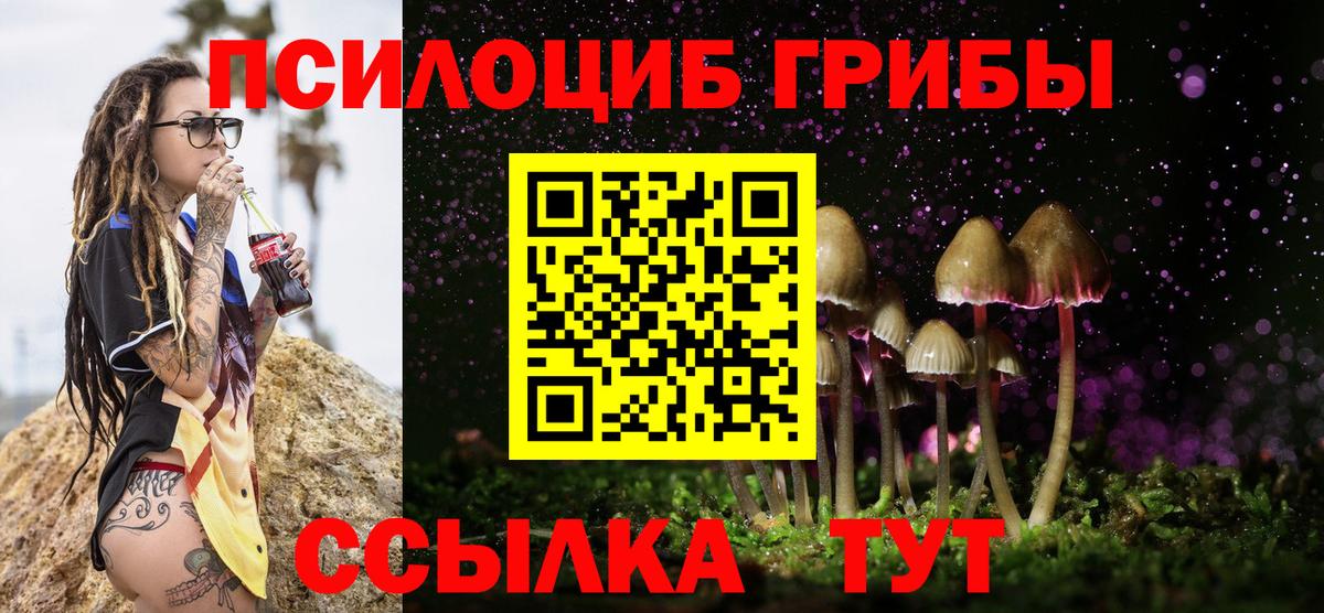 Строитель  Галлюциногенные грибы MAGIC MUSHROOMS  Вход с VPN 