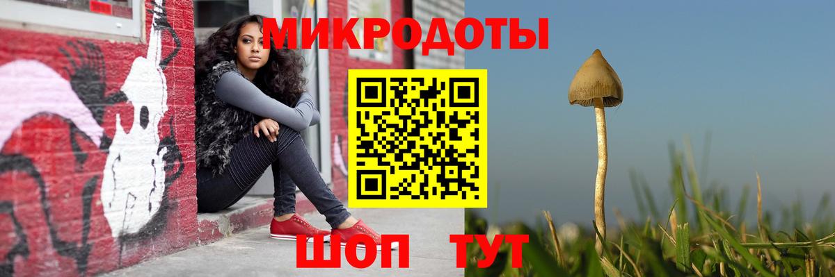Псилоцибиновые грибы MAGIC MUSHROOMS Строитель
